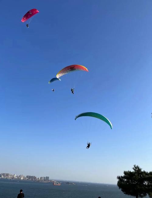 -冲浪滑翔伞表演，天空与海洋的运动盛宴的简单介绍