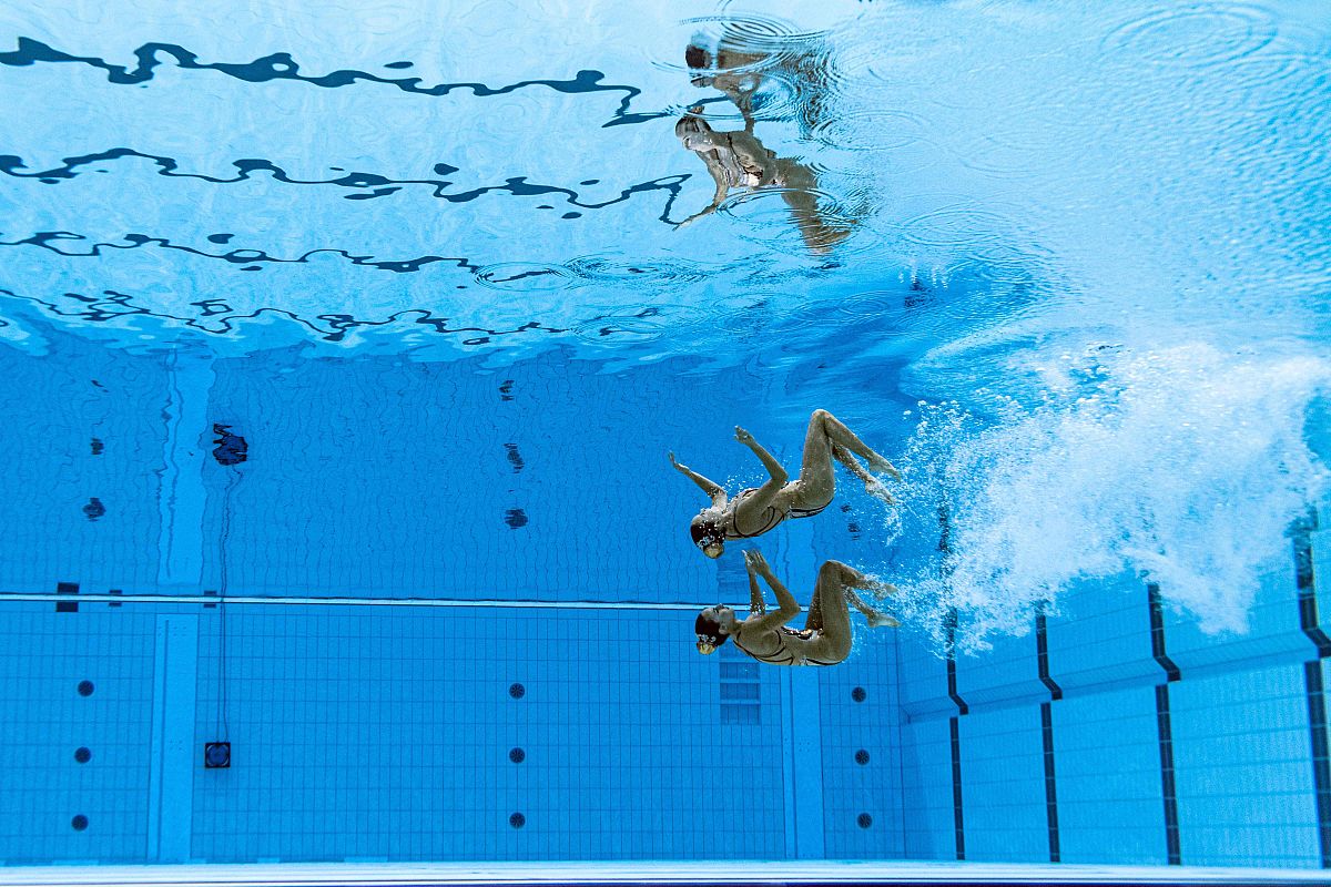 星空体育(中国)官方网站-包含海底水下飞盘比赛，水中团队协作的新体验的词条