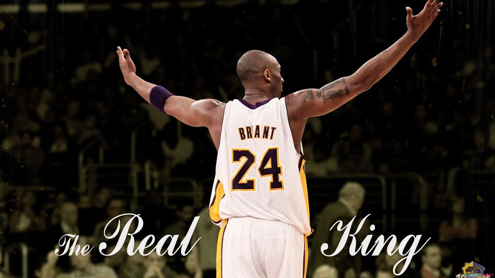 星空电竞-上海久事外援配合逐渐成熟，上海久事新外援