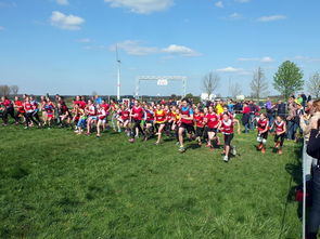 星空电竞-全国青少年劳动体育竞赛各项赛事激烈进行，全国青少年劳动体育竞赛各项赛事激烈进行的原因